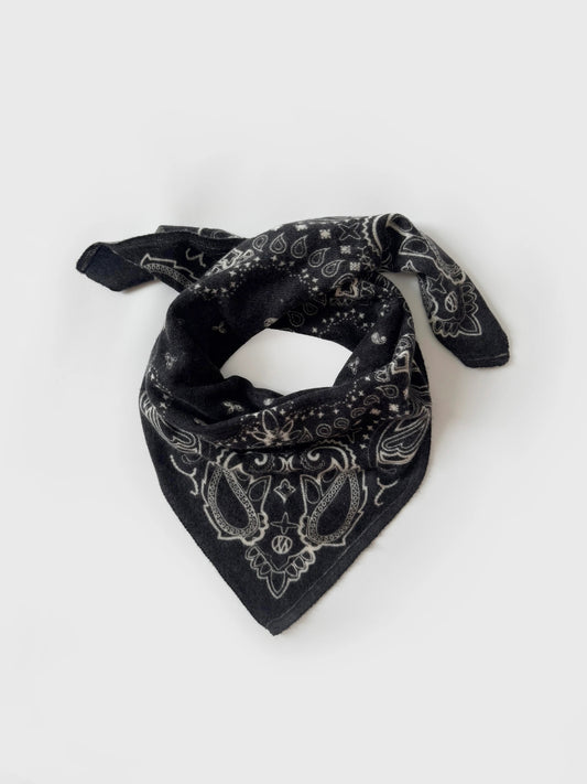 Cashmere Paisley Scarf