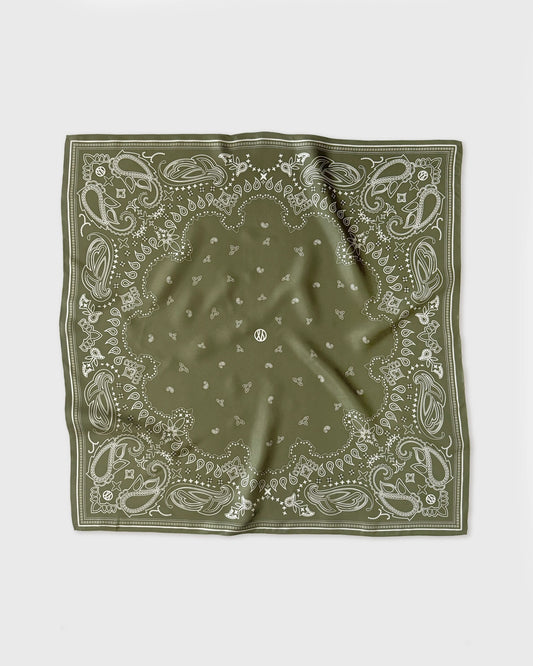 Paisley Scarf