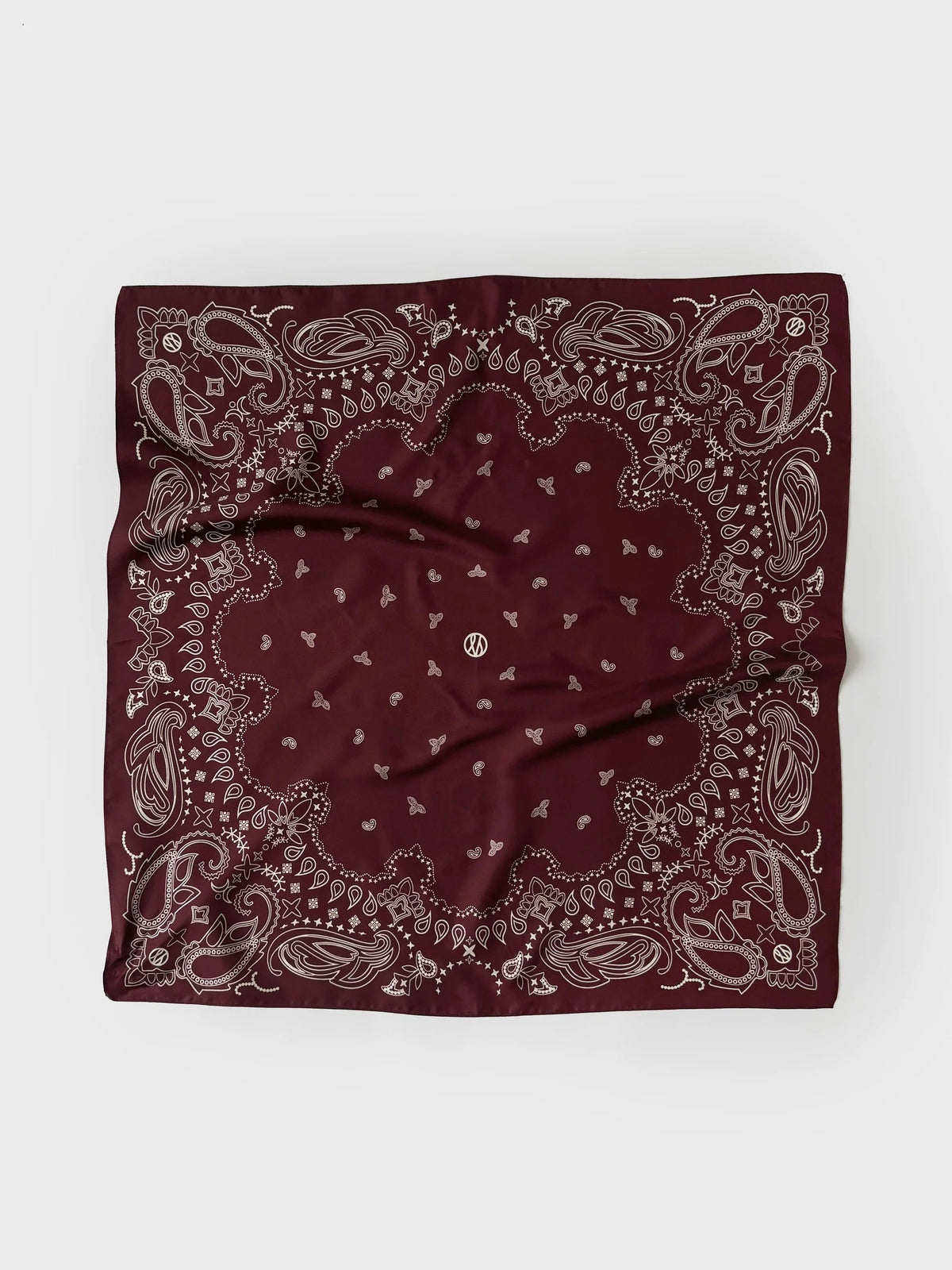 Paisley Scarf