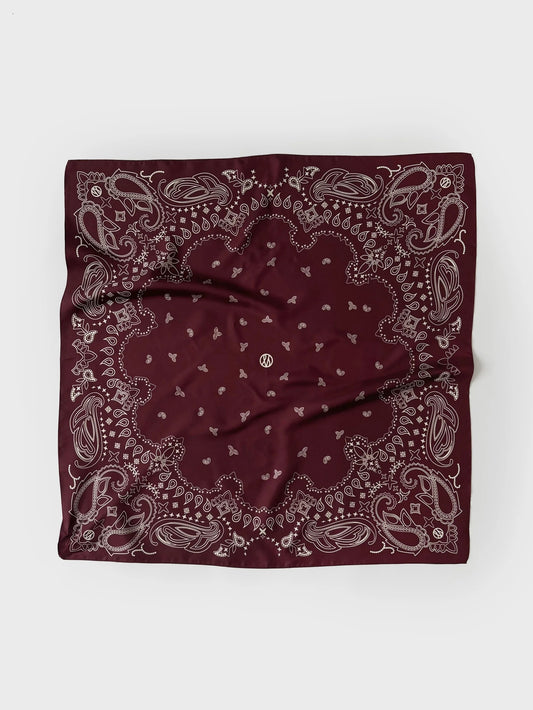Paisley Scarf